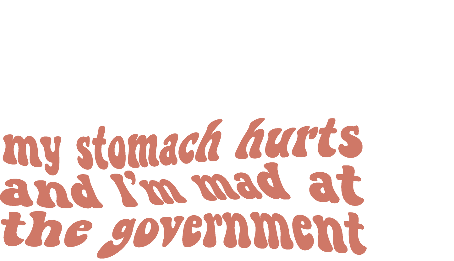 My Stomach Hurts and I'm Mad At The Government Decal