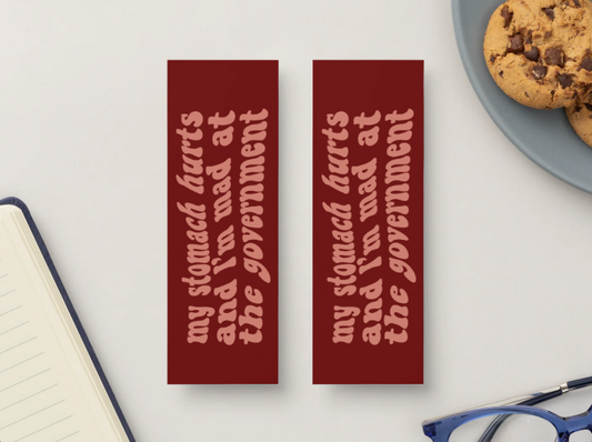 My Stomach Hurts and I’m Mad At The Government Bookmark